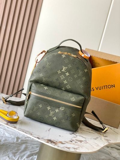Louis Vuitton Backpack Christopher M29769